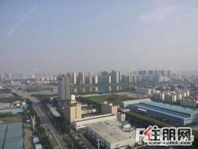 科园大道，科园大道盛世龙腾。纯写字楼。精装修。视野