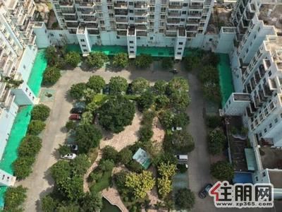 海城区-北京路成熟社区明苑花园电梯朝南正规一房出租1100元