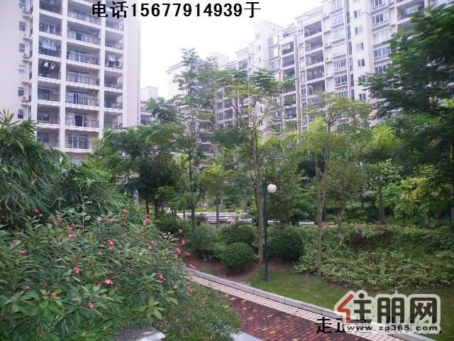 出租北京路大润发后《春华园》新配家电3房