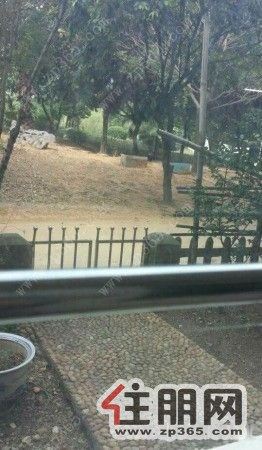 三丰名园大三房全新装修全新家具2000/