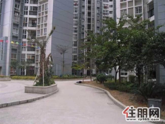 柳北区-胜利小区南一区室内家具齐全空间感