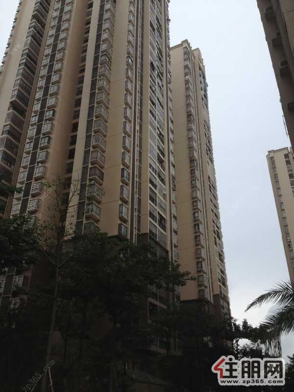 柳北区-胜利小区室内空间好,通透性好,居