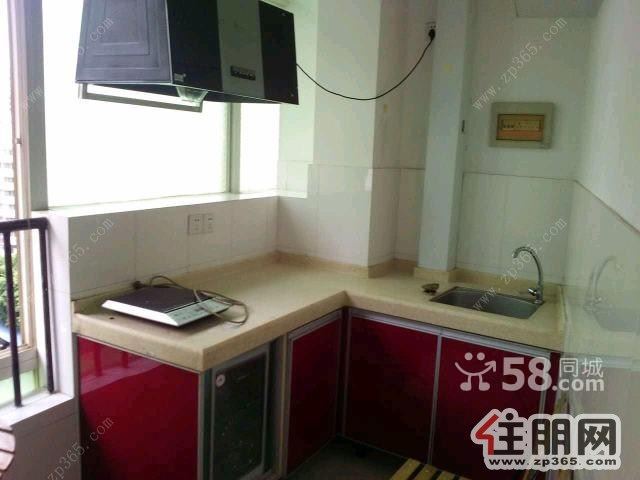 长湖路中天世纪花园1室0厅50平米仅租1