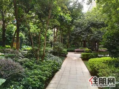 象山区-象山区上海路中央尊馆4500每月170平方4房家具家电齐全