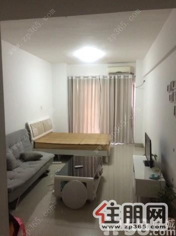 紧急出租秀灵路鼎盛国际单间配套仅100