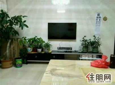 中心区,豪华装修,拎包入住,3房家私家电齐全3空调