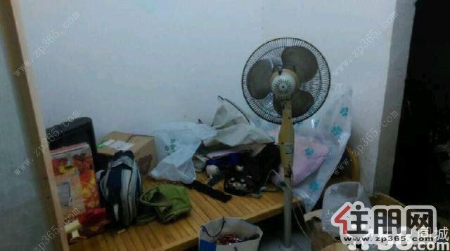 区粮食局宿舍1200元2室1厅1卫