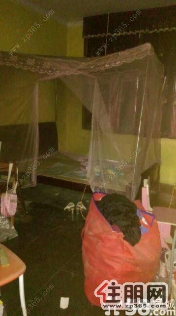 区粮食局宿舍1200元2室1厅1卫