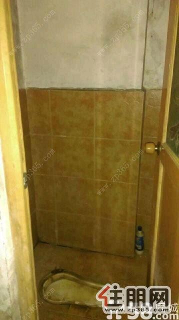 区粮食局宿舍1200元2室1厅1卫