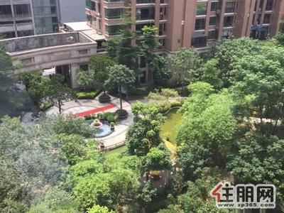 青秀区-华润大厦旁领世郡一号大四房办公出租业主便宜急租实图实房