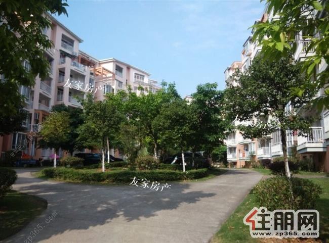 国际新城1300元3室2厅1卫中装