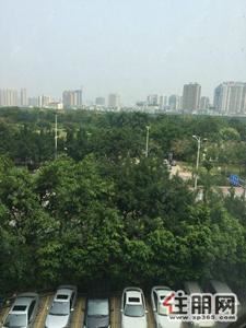 青秀区，(出租)宝资通大厦写字楼出租