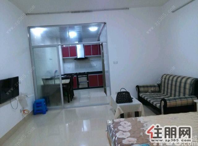 城中文源华都·紫1室1厅50平米精装修押