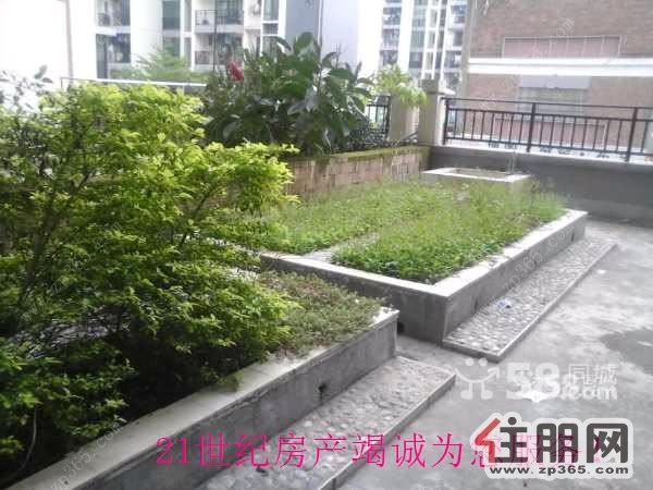 上海城3室精装修全新家电家具齐全拎包入住