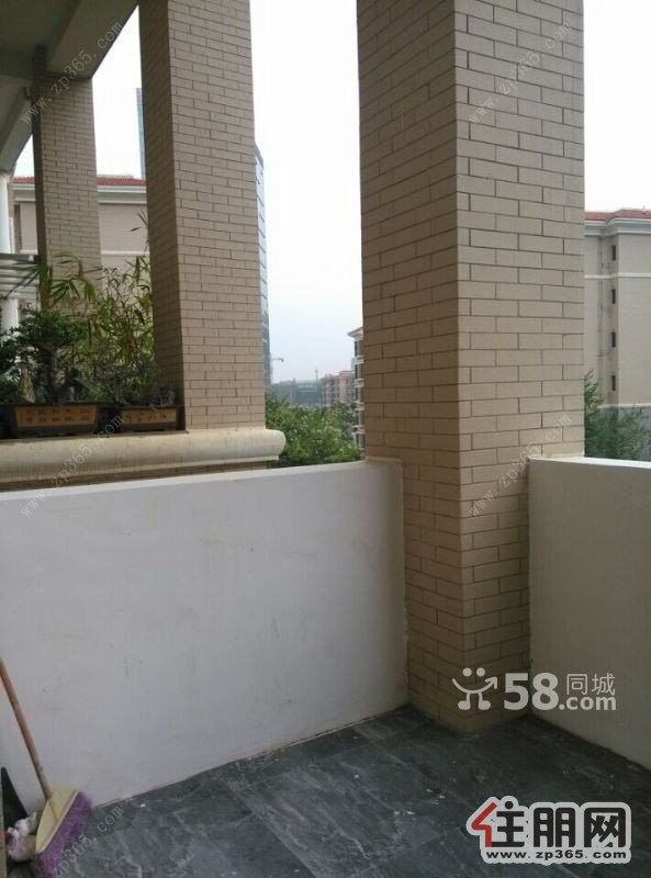 林业新村5室2厅3卫新房首次出租空房楼中