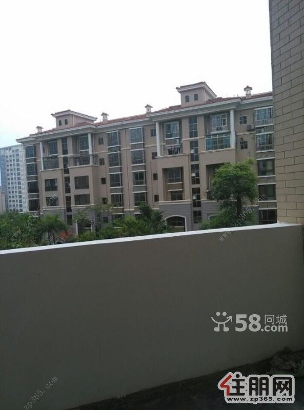 林业新村5室2厅3卫新房首次出租空房楼中