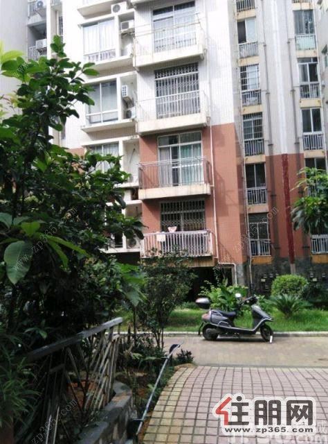 A康城小区房▊整套是4房,现招合租▊目前