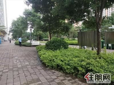 壮锦大道-出租精装修汇东星城两房1800随时看房