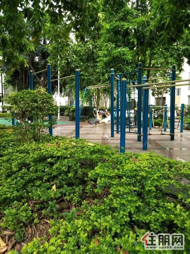 盛世名门3房2厅,南北通透。采光好