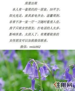 钦北区-钦南东泉大厦1室1厅48平米精装修押一付