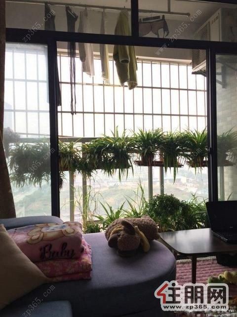 万达旁沃德梦想1室1厅1卫1800