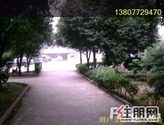 桂中区边政府大楼北面小区东堤新都旁。原婚