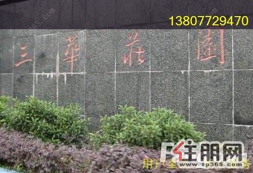 桂中区边政府大楼北面小区东堤新都旁。原婚