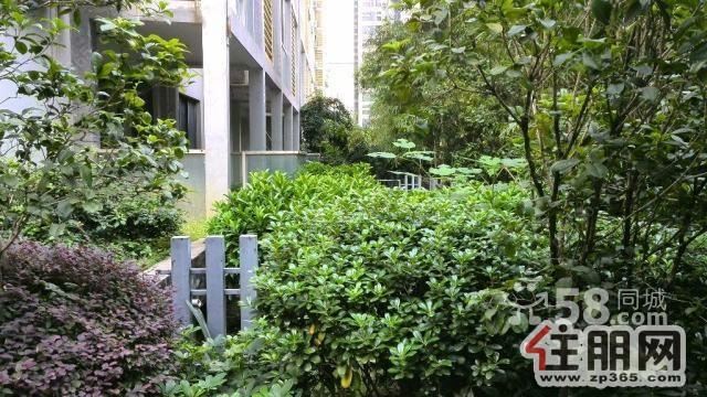 阳光100金沙角精装一室家电齐全真实图片