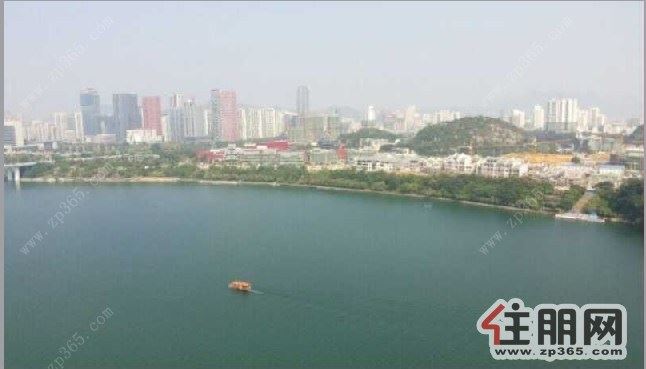 市中心金沙角步行街精装修家具电器齐