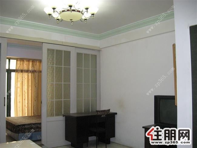 五星商业街金运来大厦精装小户型出租