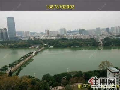 青秀区，生活方便，滨湖庄园4000元4室2厅