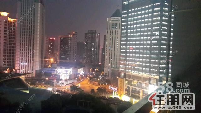 金旺角小区1850元1室1厅1卫精