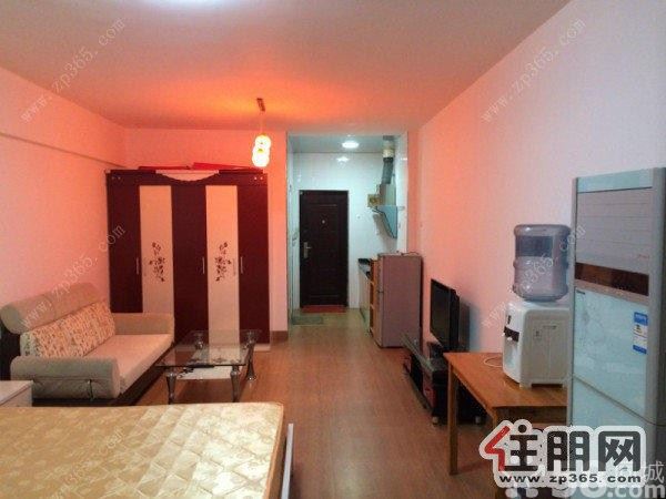 高新阳光100城市广场精装靓房出租,家电