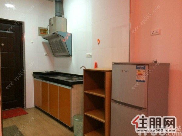 高新阳光100城市广场精装靓房出租,家电