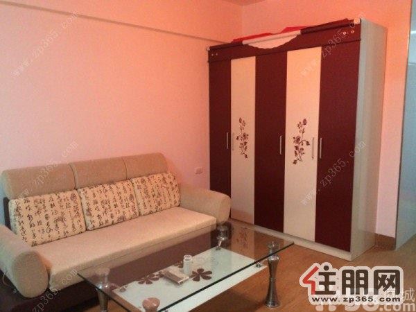 高新阳光100城市广场精装靓房出租,家电