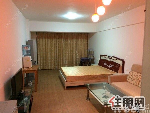 高新阳光100城市广场精装靓房出租,家电