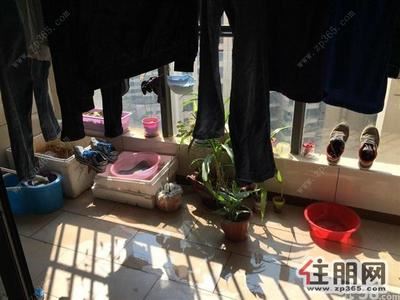 南棉街，荣和山水绿城3室1厅1卫(个人)