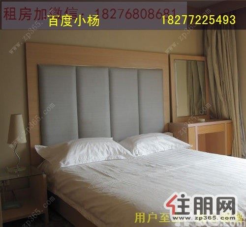 城中城中五星街附近2室1厅89平米可拎包