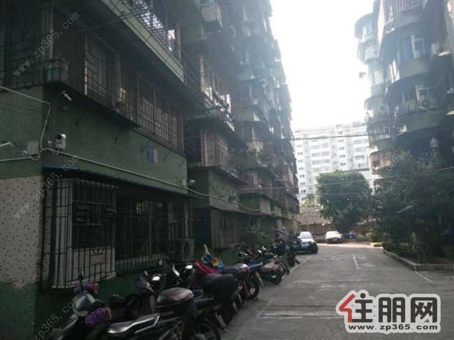 低价出租中鼎北园3室2厅1卫普通装