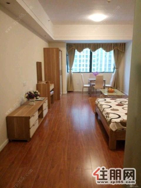 城中万达广场欧式、韩式精装1室1厅1卫