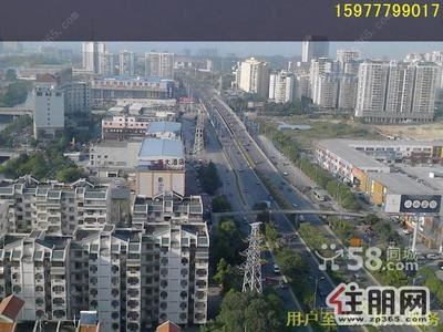青秀区，(出租)青秀东盟商务区领世郡一号200平