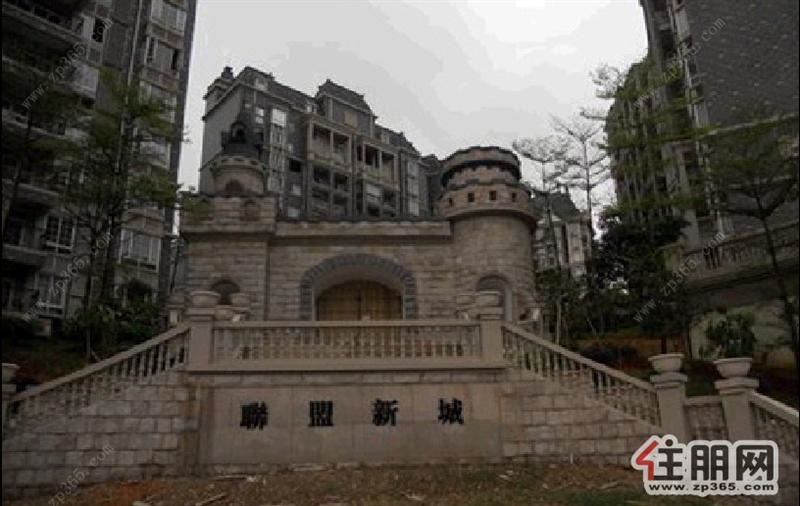 南宁_联盟新城 _100-300万_六室以上二手房房