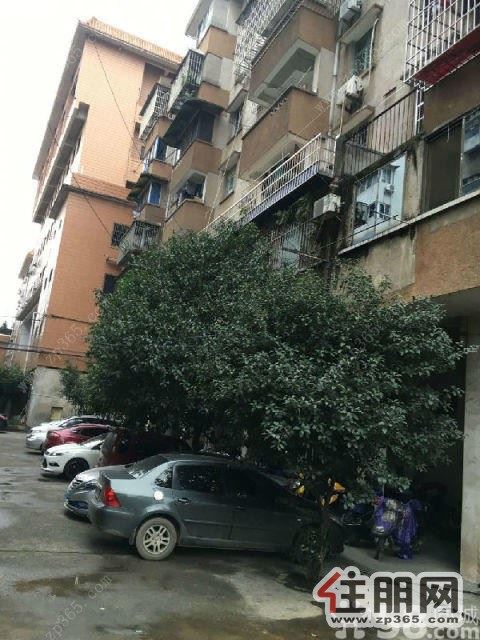 三中路市委旁3室-黄金3楼实惠1500