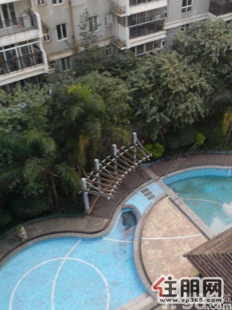 保利对面,冠亚蓝湾国际3室2厅120平米