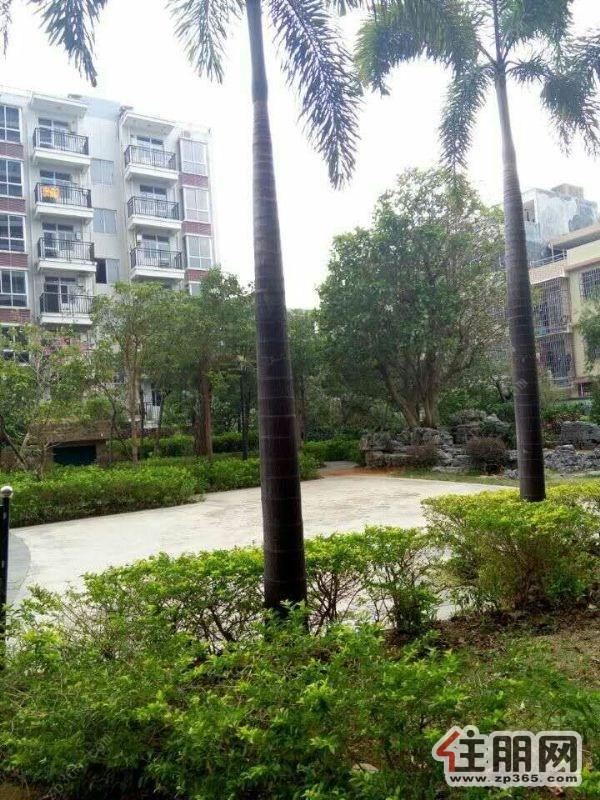 天赐碧园海景2房便宜出租