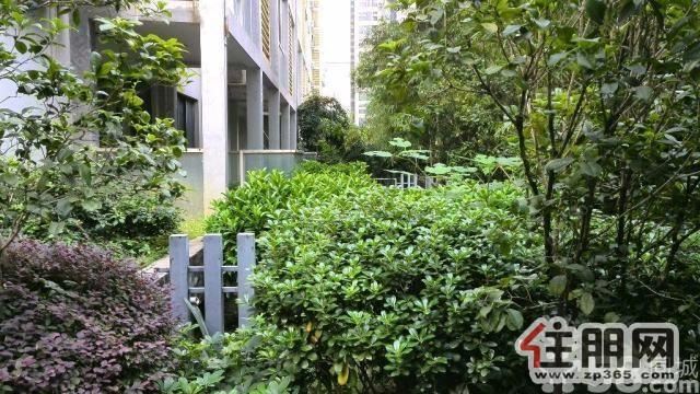 阳光100彩虹城精装一室1500元/月随