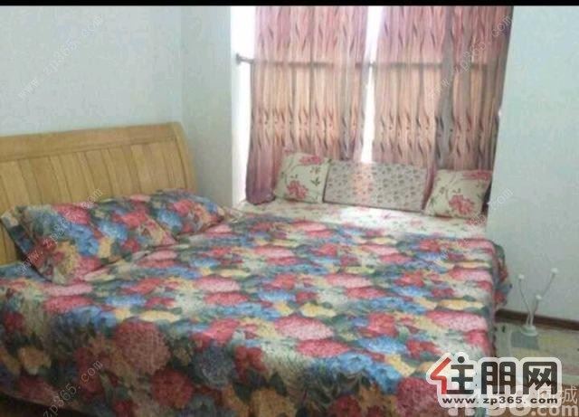 靠市中心近河提金沙角一线江景全新精装两房