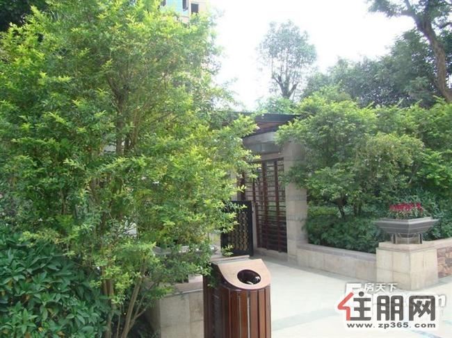 新楼盘精装修小两房拎包入住价格便宜-整租