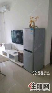 青秀区，半岛东岸精装1房1厅家电齐全拎包入住只此