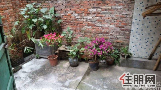 雅儒郊区政府大院精装两房家电家具齐全